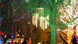 Winterlights at Newfields